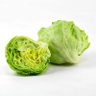 Mr. Lettuce 的头像