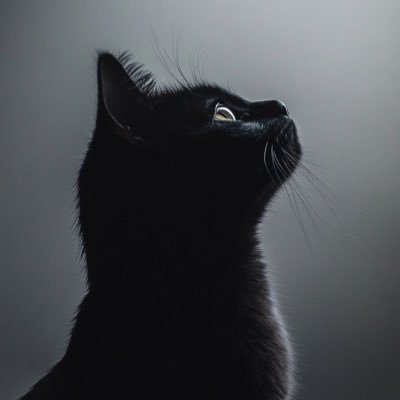 otonari_iikai's profile picture