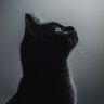 Фото профиля おとなりさん