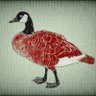 Goose of the gutter, formerly of the commons. 的头像