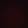 new year's profile picture
