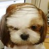 Mick_Loud99's profile picture