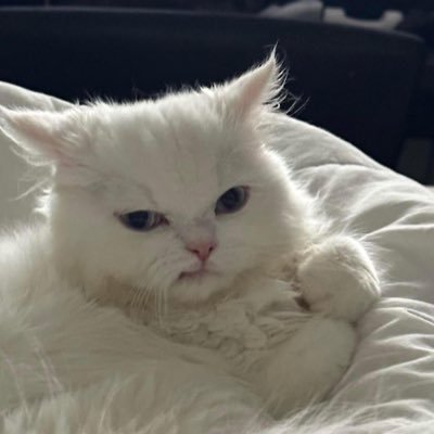perayuay's profile picture