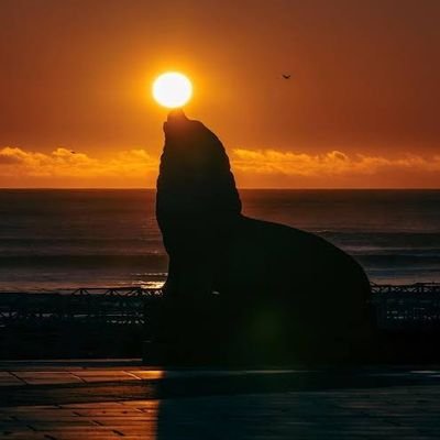 AXEL PRESIDENTE 2027's profile picture