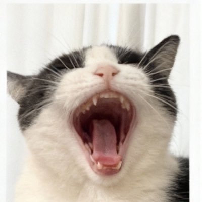 llr1_01's profile picture