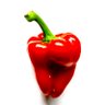 Profilbild von Spicey Bits