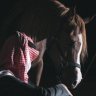 Profilbild von اصوات بعيدة