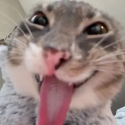 Mimi✨'s profile picture