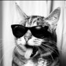 HH's profile picture