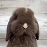 Фото профиля cliché࣪