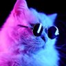 BlobKat 的头像
