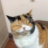 WT ☀️ วท. profil fotoğrafı