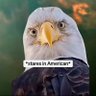 Michelle's profile picture