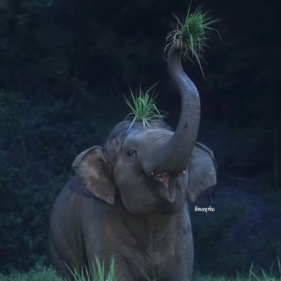 namwarn93's profile picture