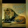 ABDOLVAHED's profile picture
