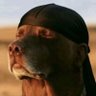 Damilare profil fotoğrafı