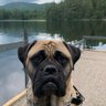 raybones profil fotoğrafı