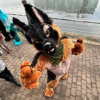 Fudgy Shepherd's profile picture