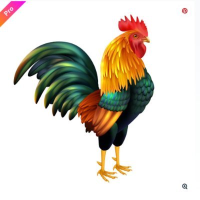 bulgeman4u's profile picture