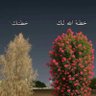 هلالي قديم💡 profil fotoğrafı