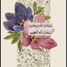 IMANE HAJJI 🇲🇦 ⵣ profil fotoğrafı