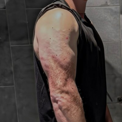 ShortKingNZ's profile picture