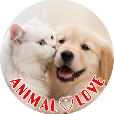 åç©â¡å€§å¥œã animal love's profile picture