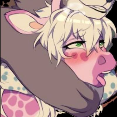 FurryLuchador's profile picture