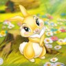 Profilbild von 黄色いうさぎ