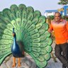 Balamurugan's profile picture