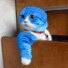 🍄ดร.luv123🐞 profil fotoğrafı