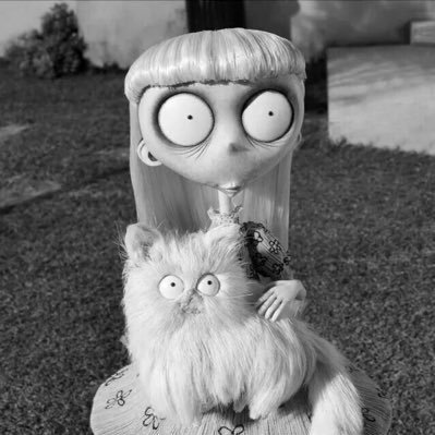 mariana ☾ ENHYPEN IS 7's profile picture