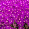 Фото профиля WALKERINE