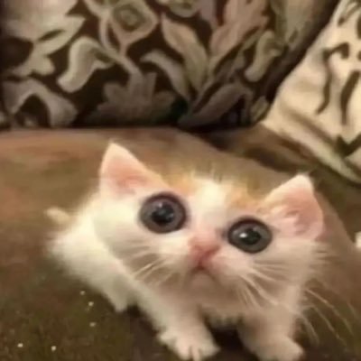 Lyc5w2a's profile picture