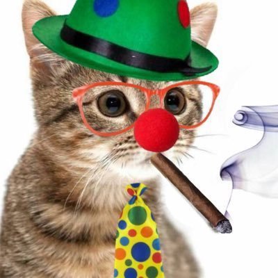 sessão kainã's profile picture