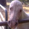 repent's profile picture