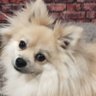 Sandy profil fotoğrafı