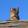 . profil fotoğrafı