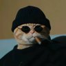 无语了吧's profile picture