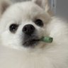 まるひ 的头像