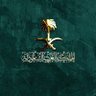 🤍💙هلااليه اكره النصر 🙏's profile picture