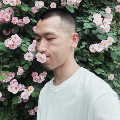 WTHC6666's profile picture