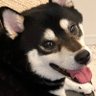 Profilbild von Toby_Mizuno
