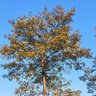 刘晴天's profile picture