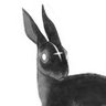 Profilbild von OverlyWelsh