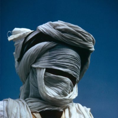 TheGreyHunter's profile picture
