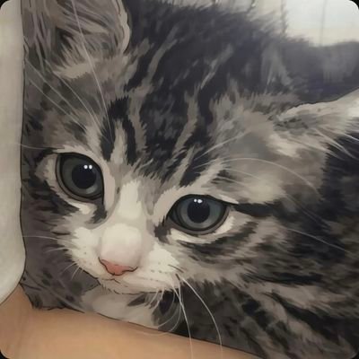 nyaopara's profile picture