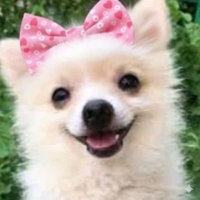 AA11Besties's profile picture