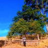 Oladeinde.... profil fotoğrafı