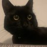 dave profil fotoğrafı